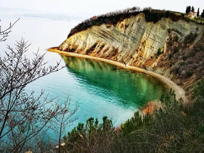House In Istria In Pristine Nature Holiday home Smarje (Koper)